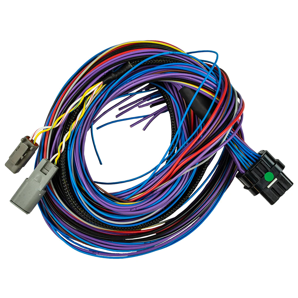 CABLAGGIO PEAK & HOLD PRO