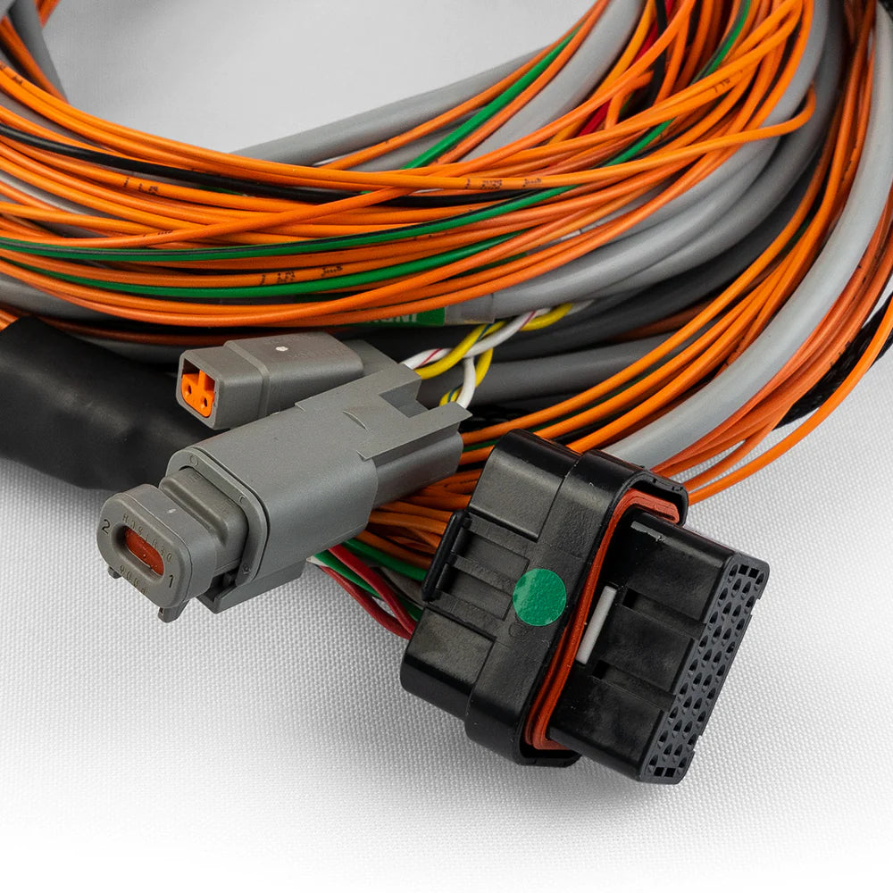 CABLAGGIO INPUT EXPANDER