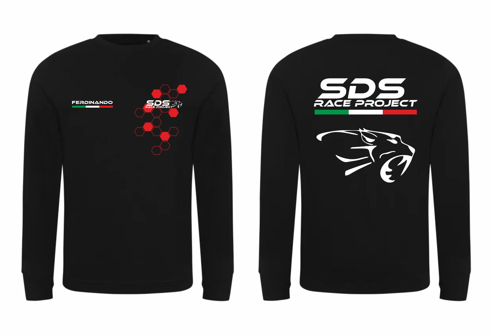 FELPA SDS RACE PROJECT